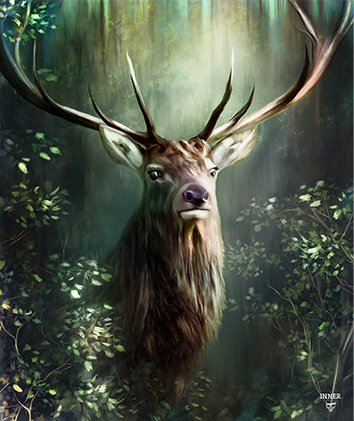 THE KING OF DARK AND LIGHT FOREST